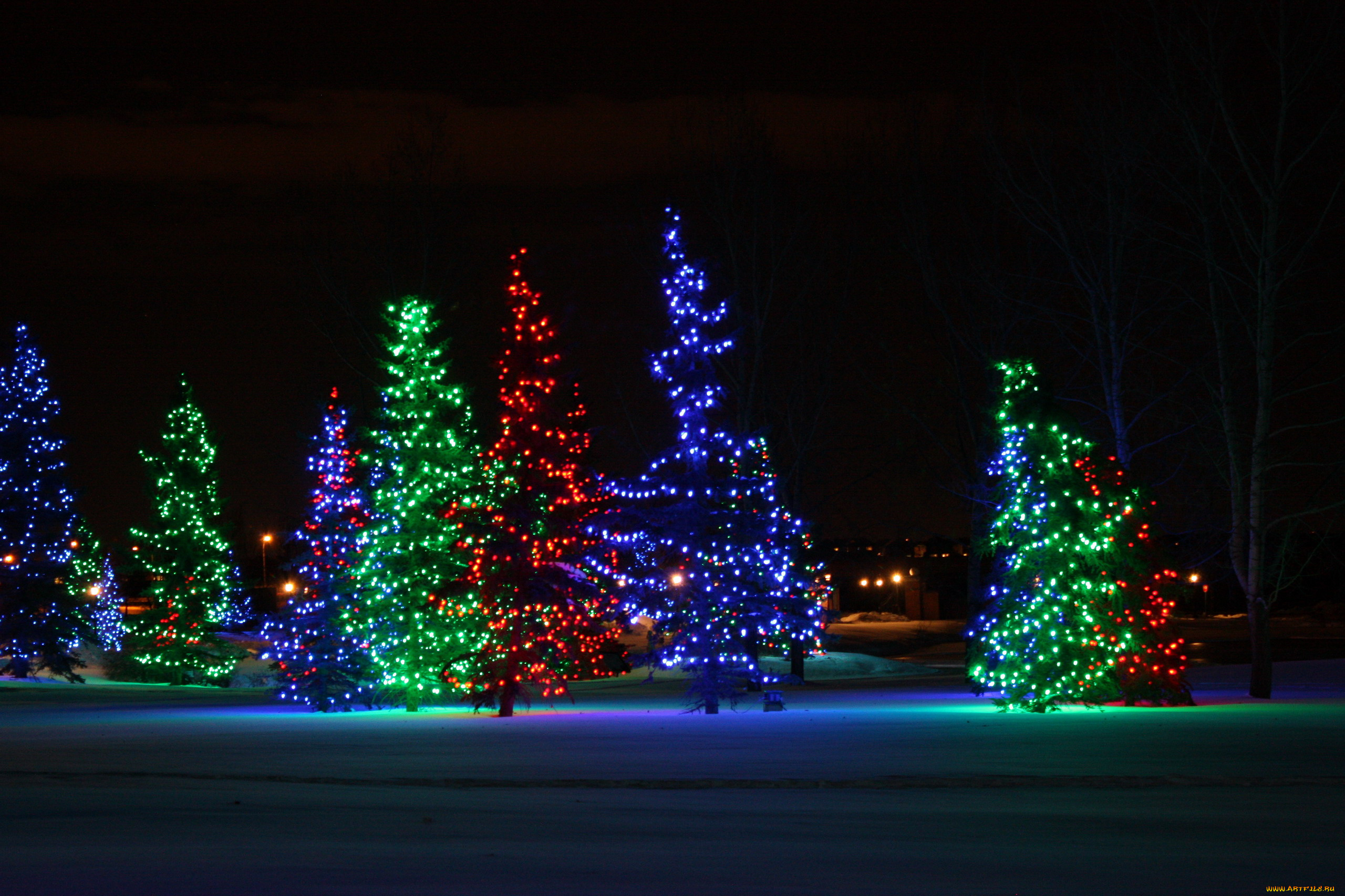 праздничные, Ёлки, огоньки, гирлянды, деревья