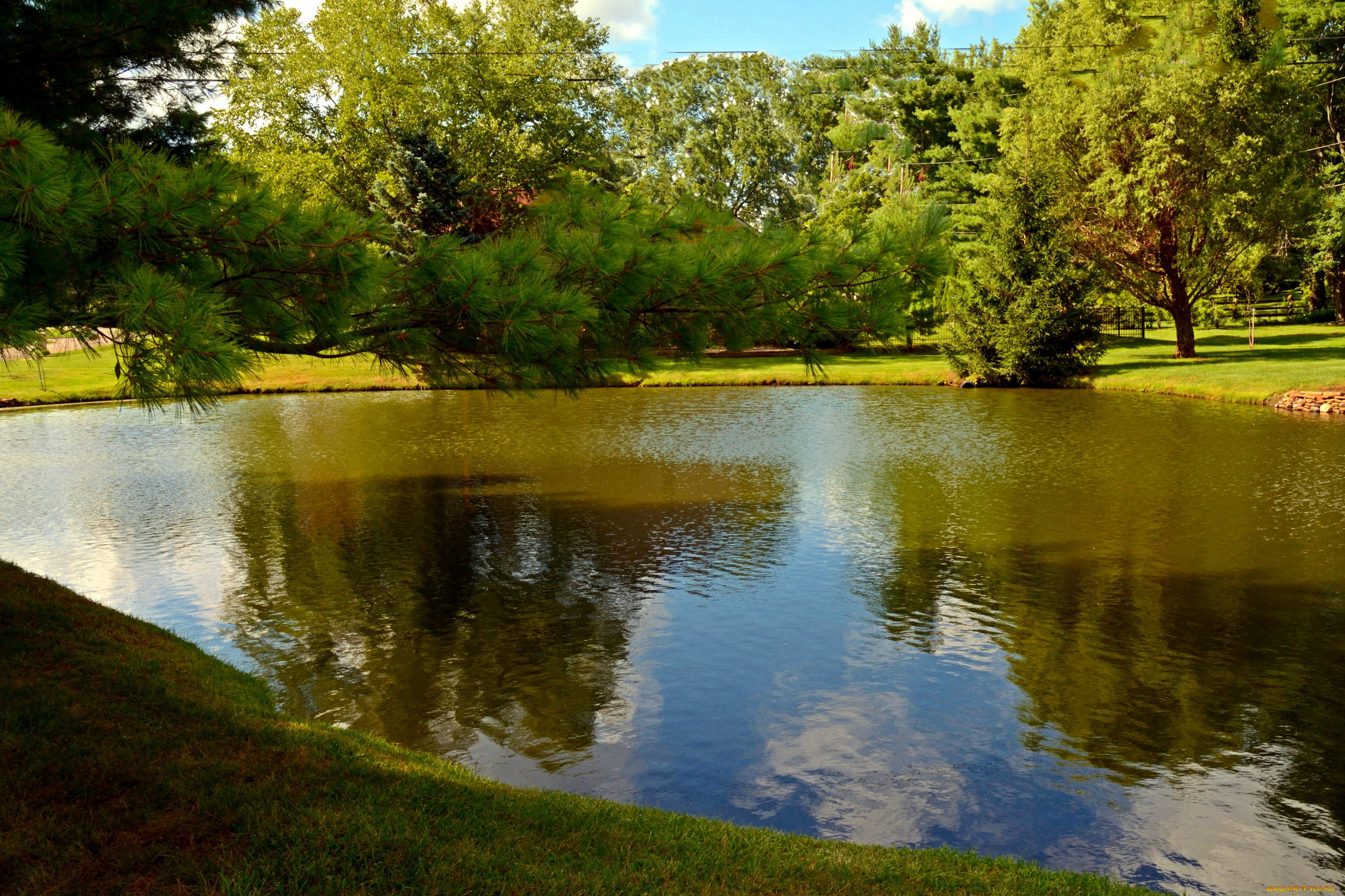 природа, парк, пруд