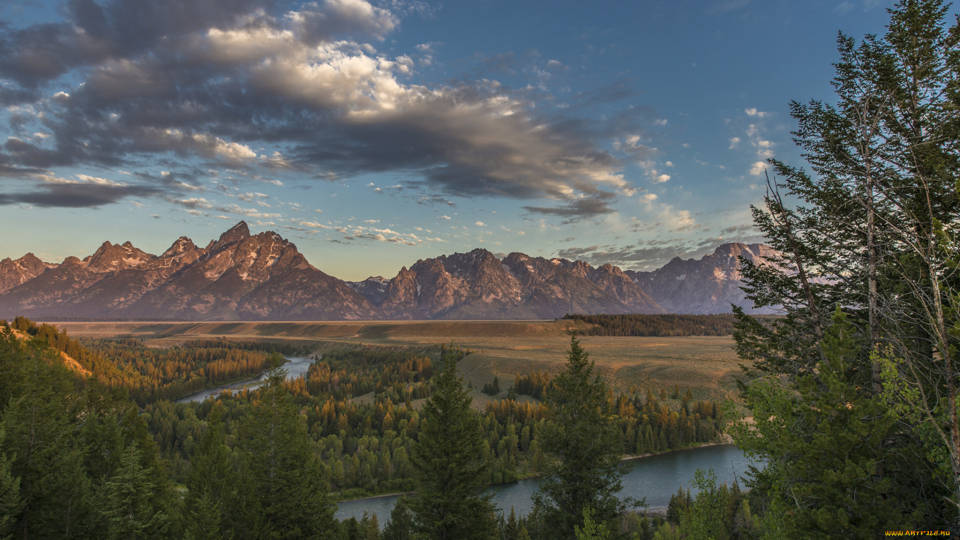 природа, пустыни, лес, река