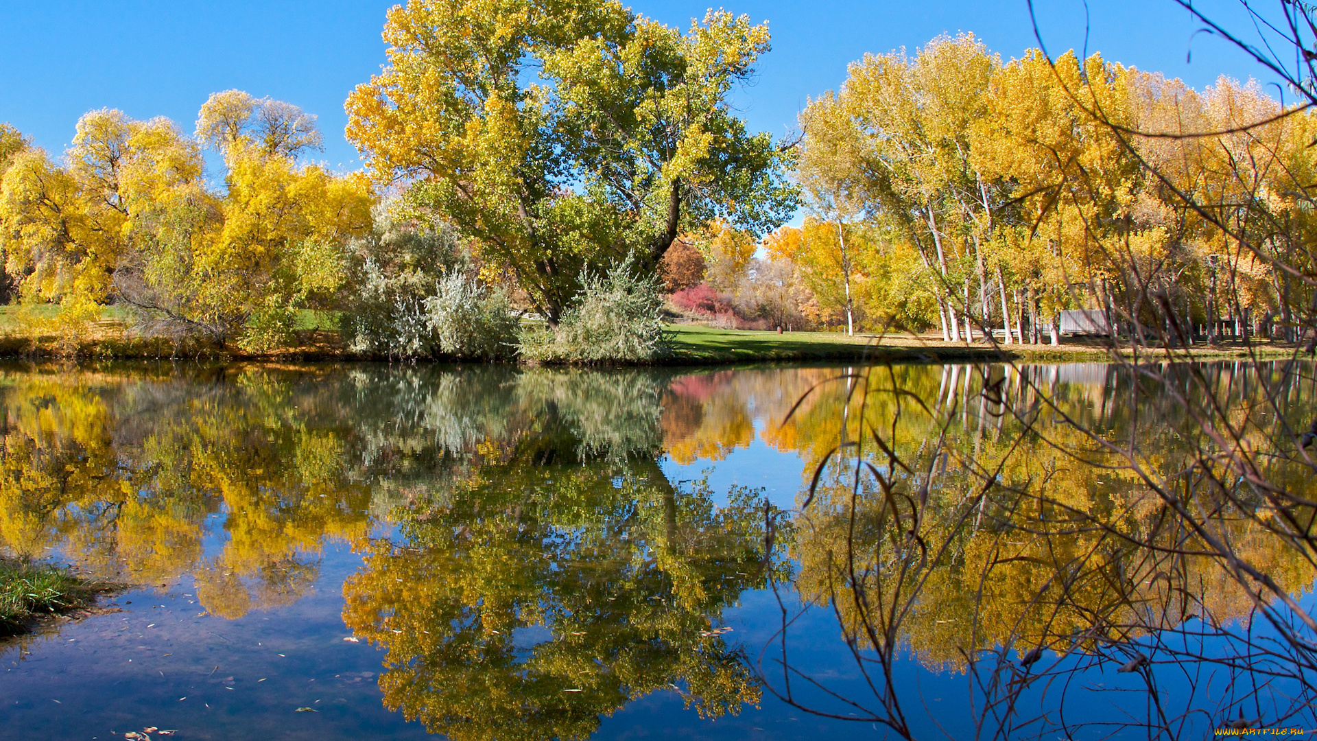 природа, реки, озера, озеро, парк, отражение, небо, осень, деревья, пруд
