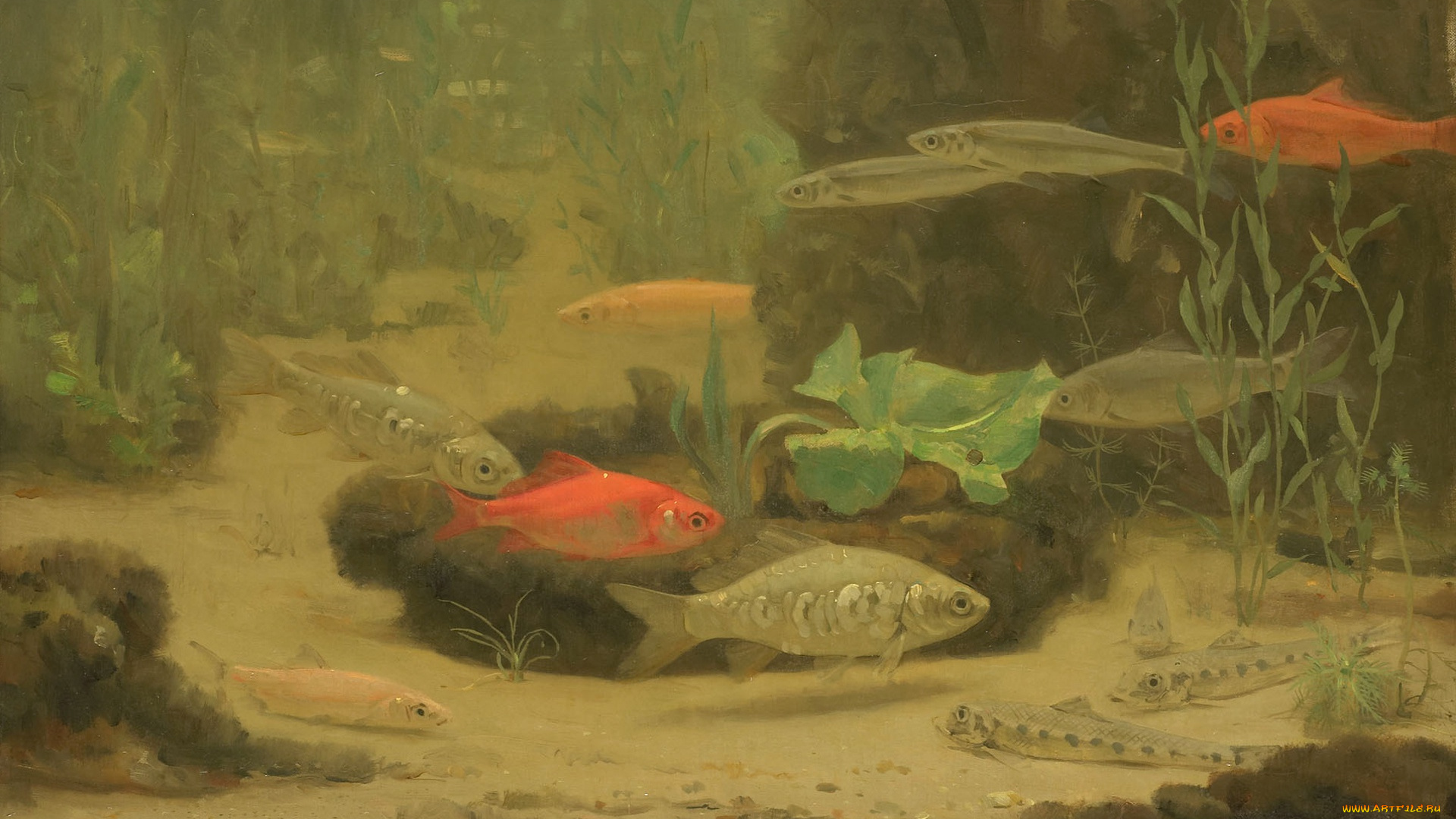 рисованное, живопись, аквариум, рыбки