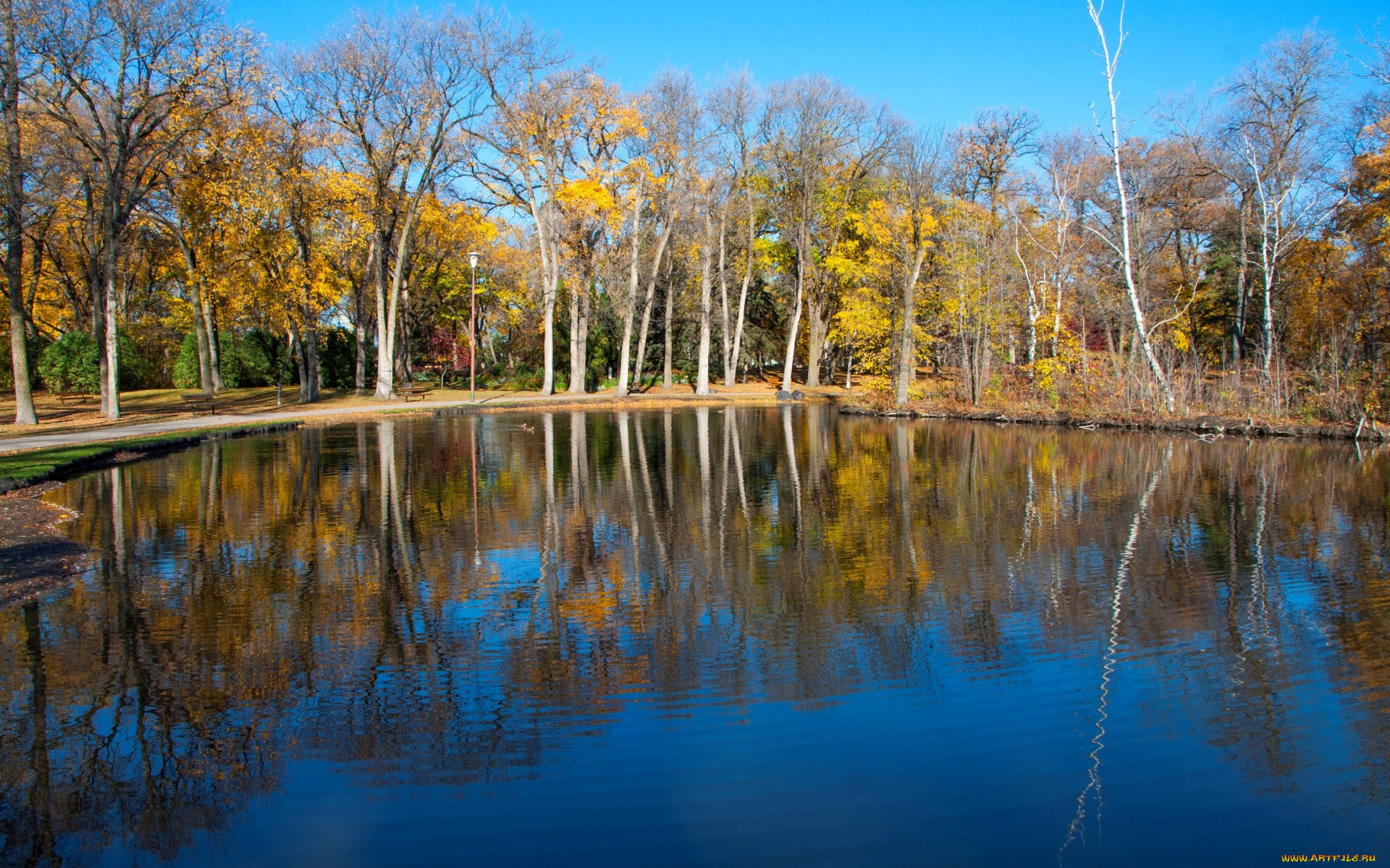 природа, реки, озера, деревья, пруд, озеро, осень, парк