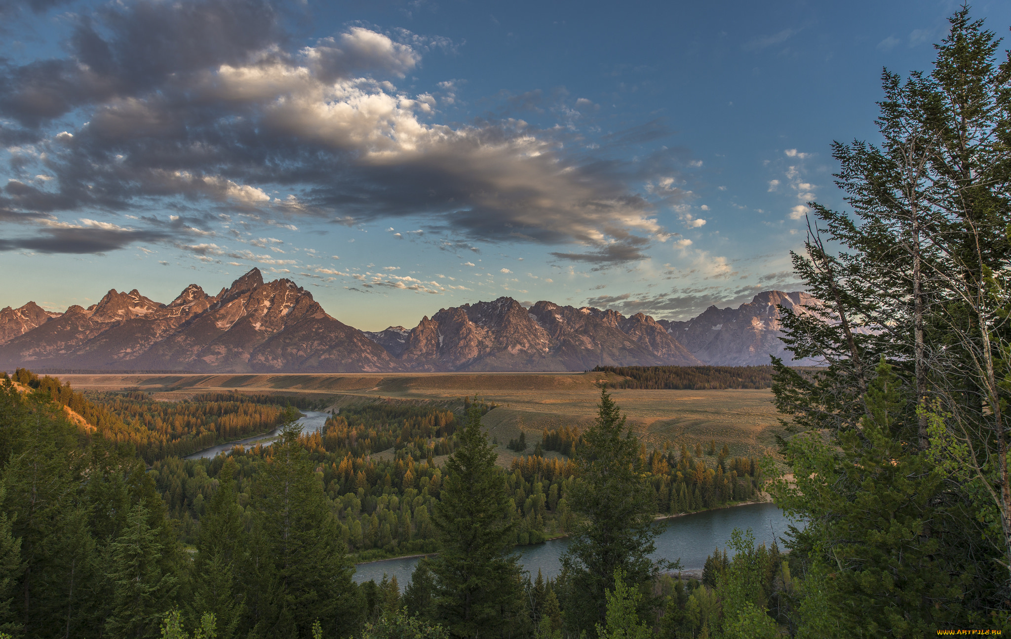 природа, пустыни, лес, река