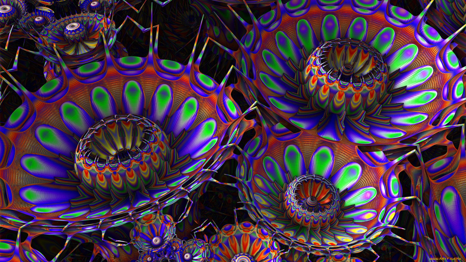 3д, графика, цветы, , flowers, цветы