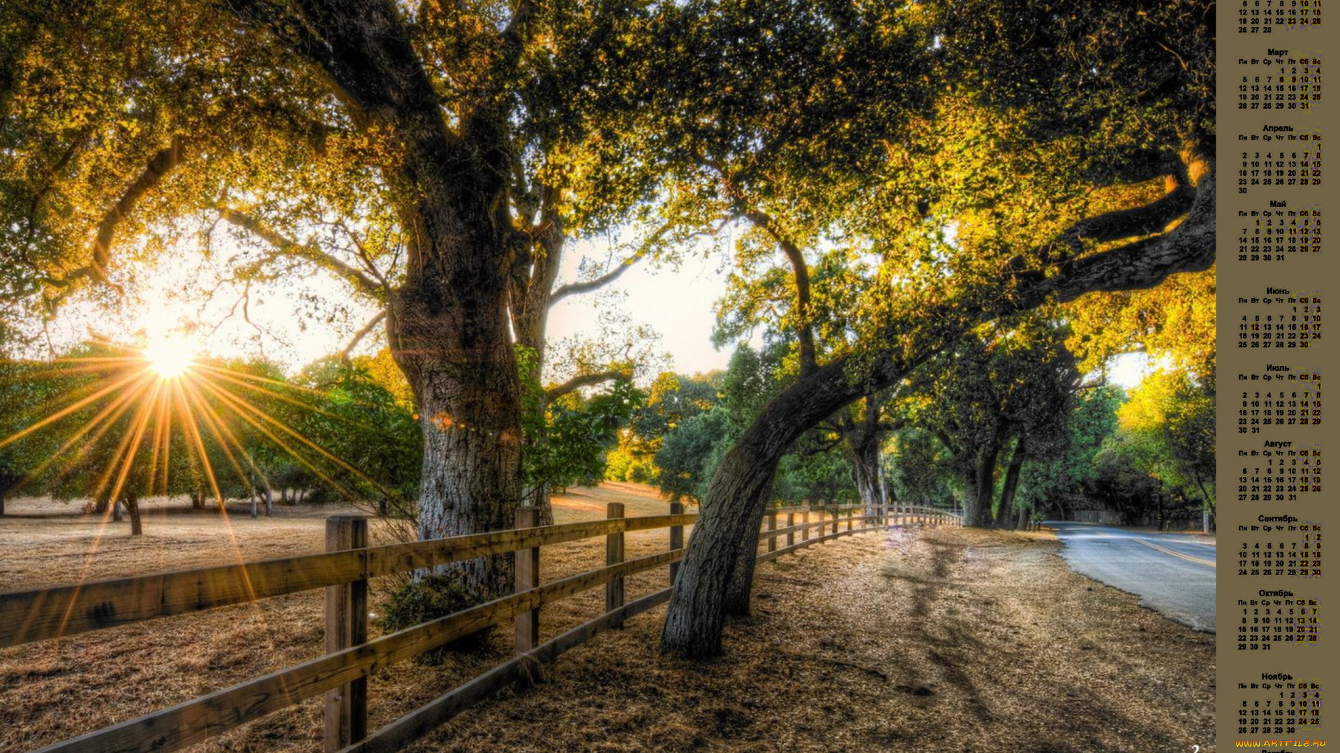 календари, природа, 2018, деревья, дорога, изгородь, солнце