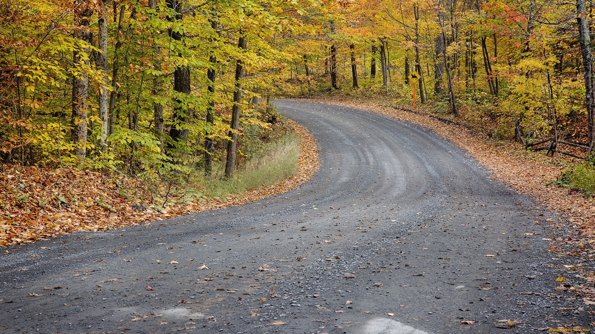 природа, дороги, простор