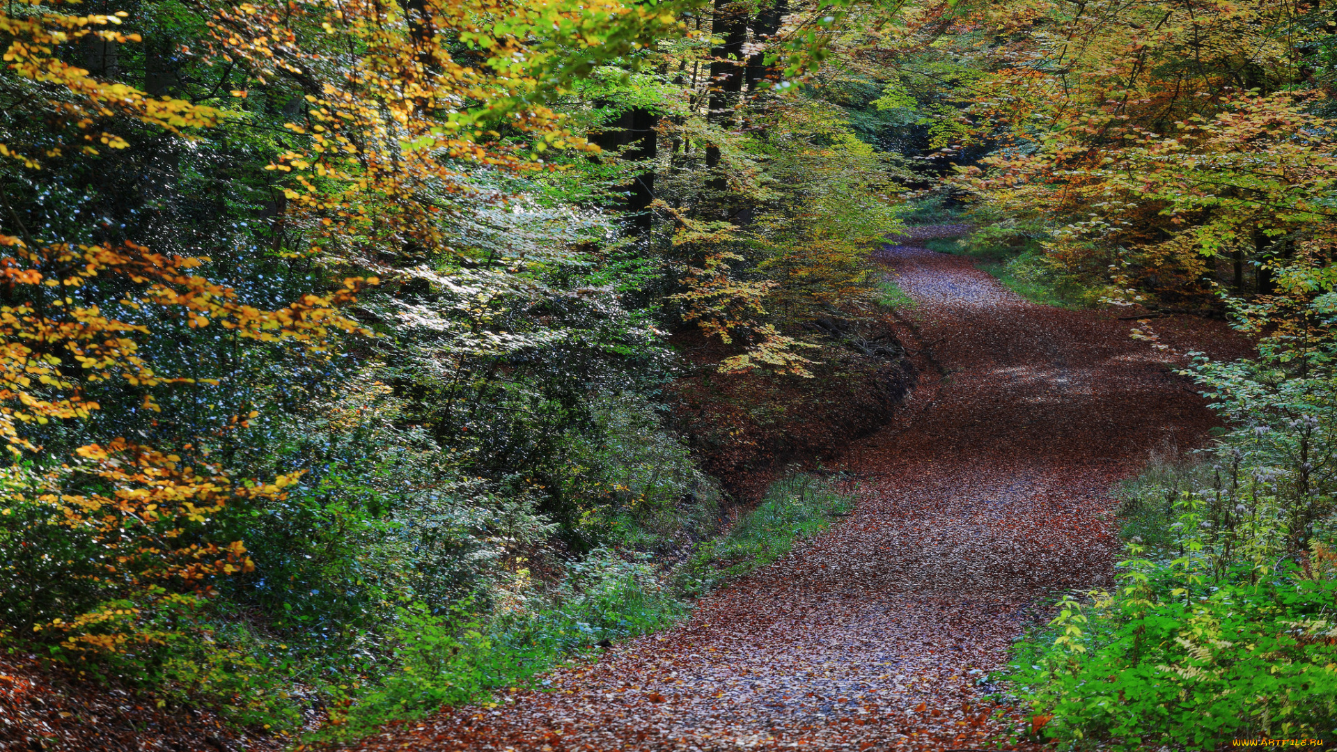 природа, дороги, простор