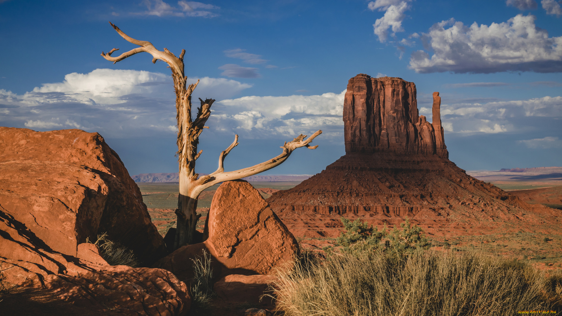 природа, пустыни, простор