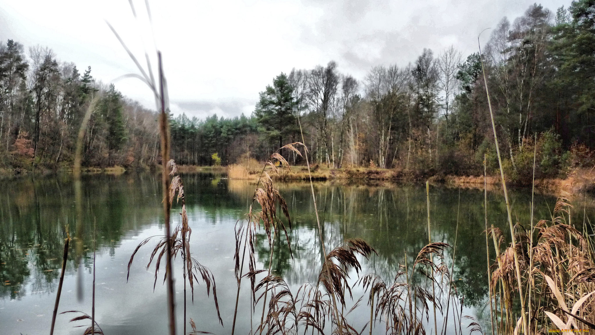 природа, реки, озера, простор