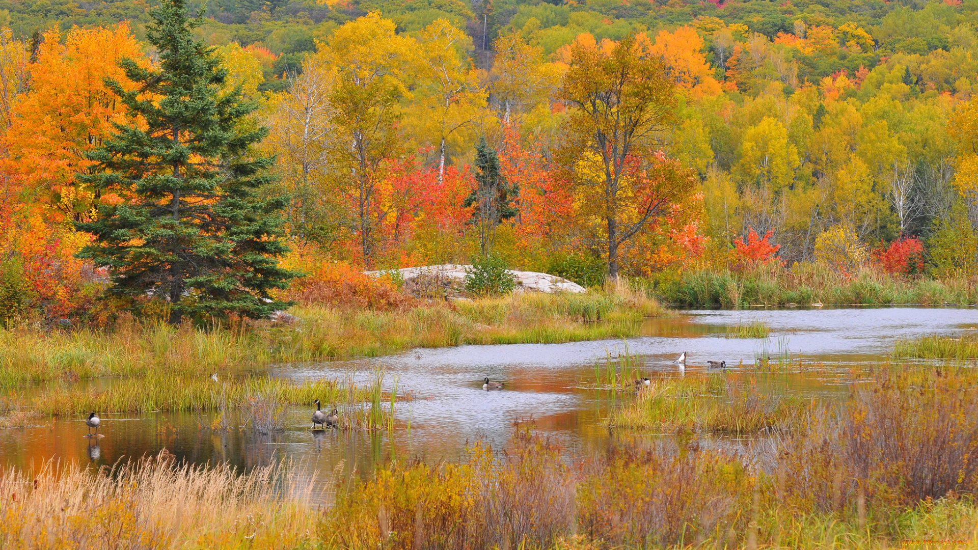 природа, реки, озера, простор