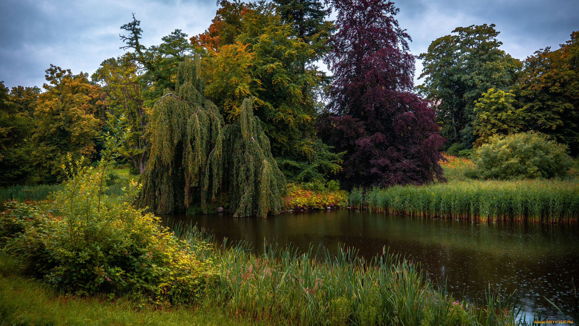 природа, реки, озера, простор