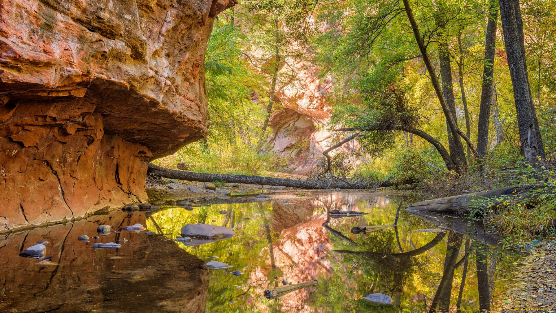 природа, реки, озера, простор