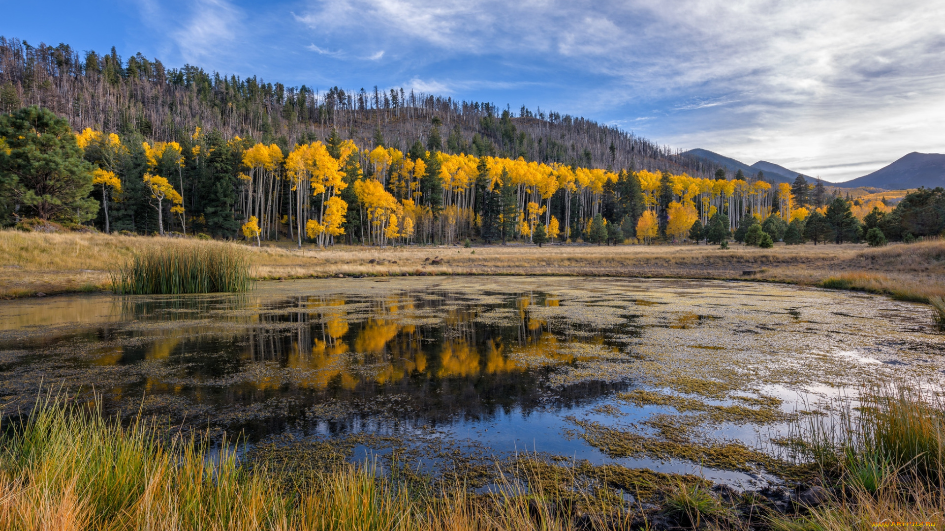 природа, реки, озера, простор