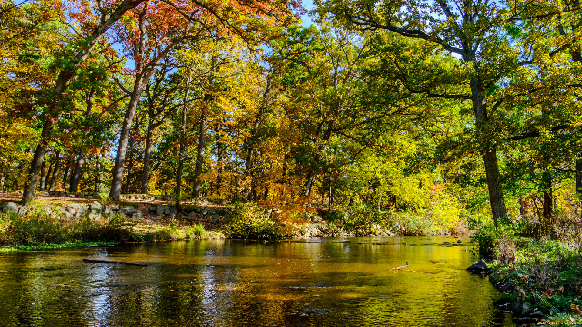 природа, реки, озера, простор