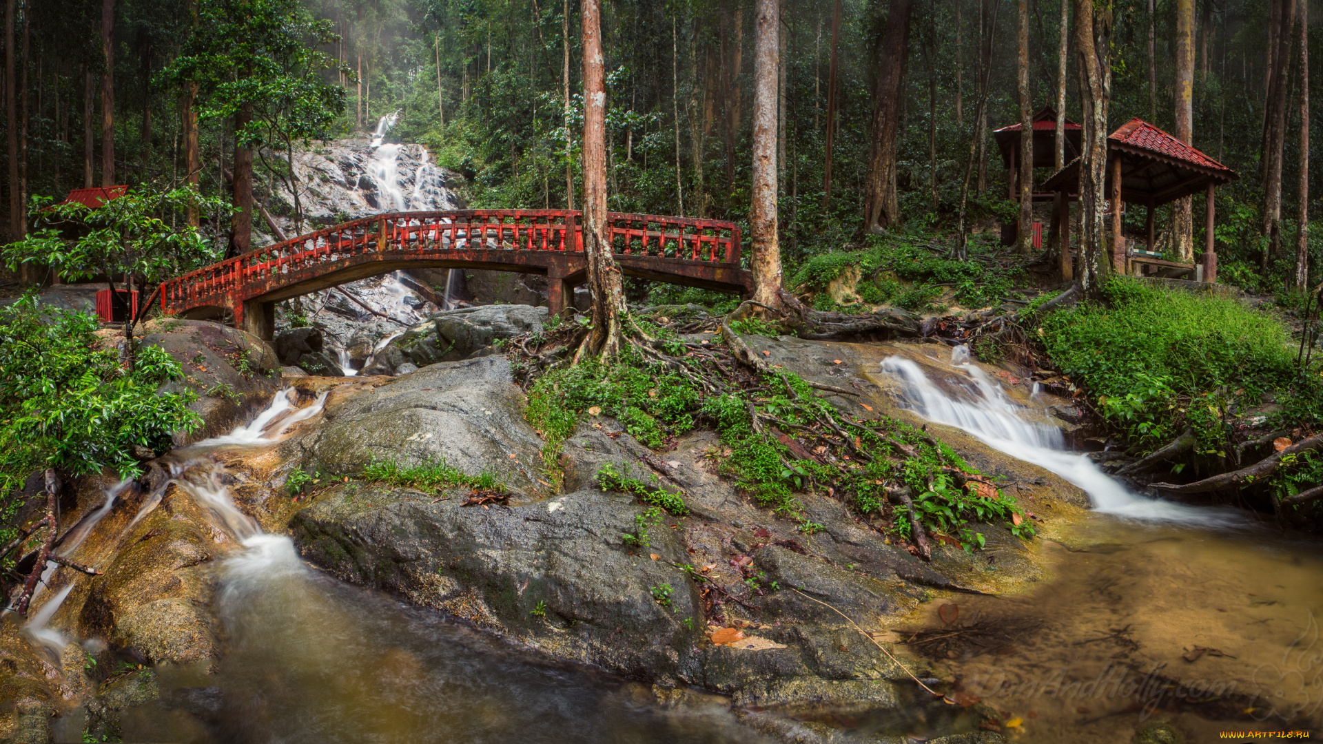 природа, реки, озера, простор