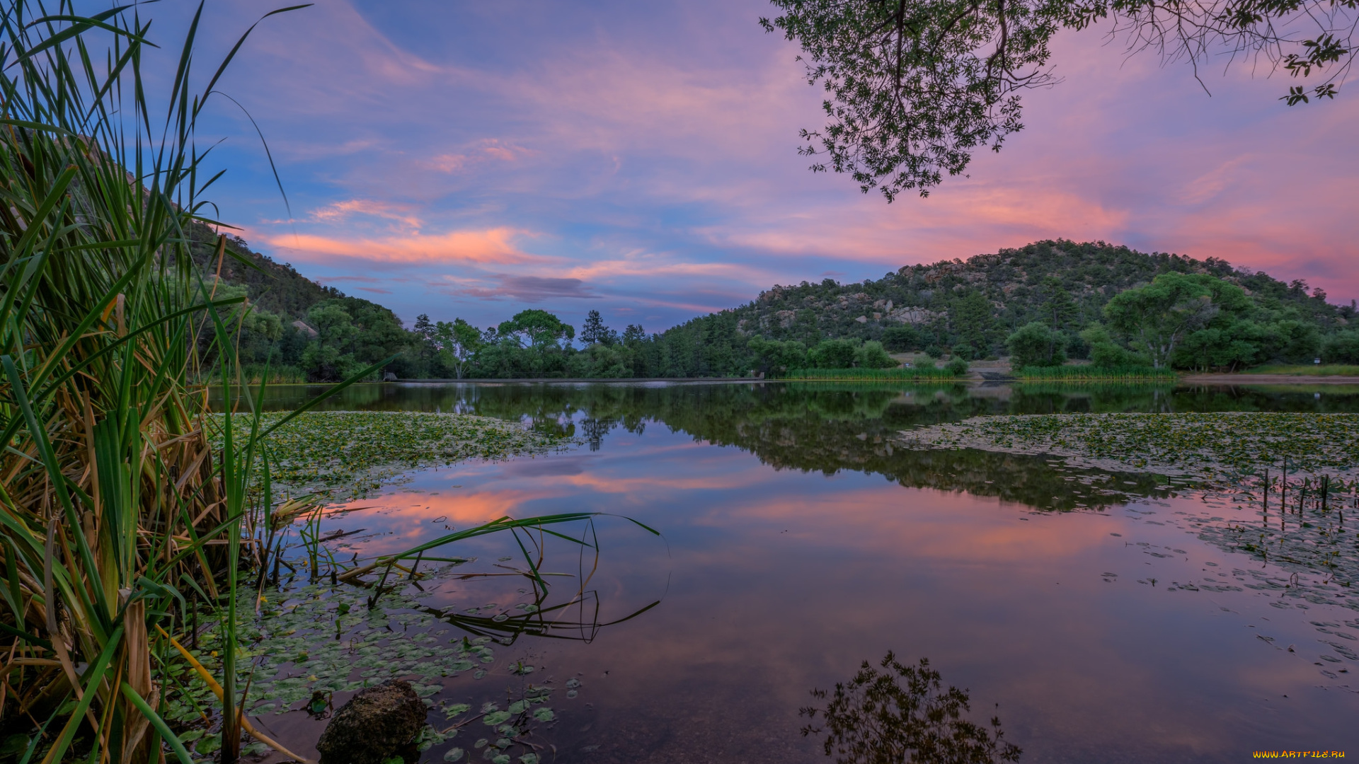 природа, реки, озера, простор