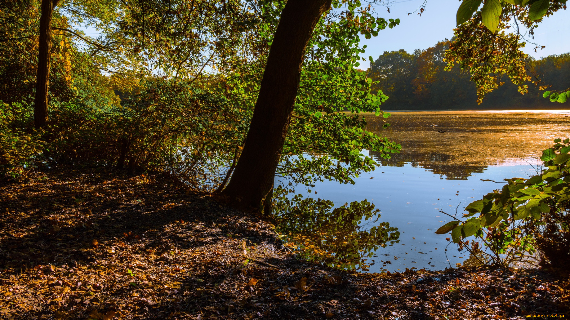 природа, реки, озера, простор