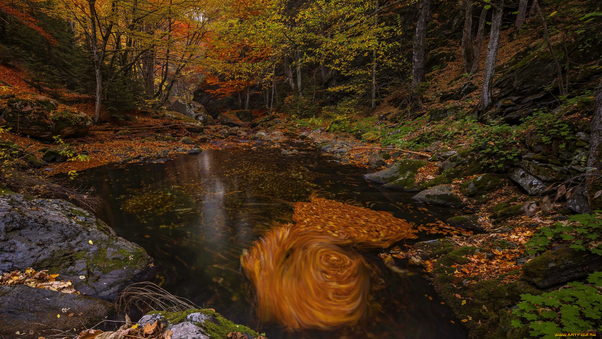 природа, реки, озера, простор