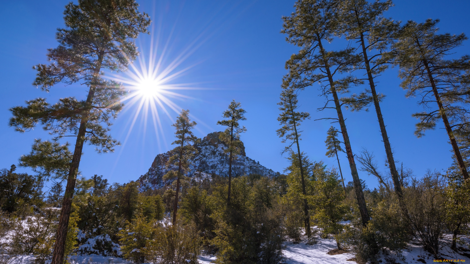 природа, зима, простор