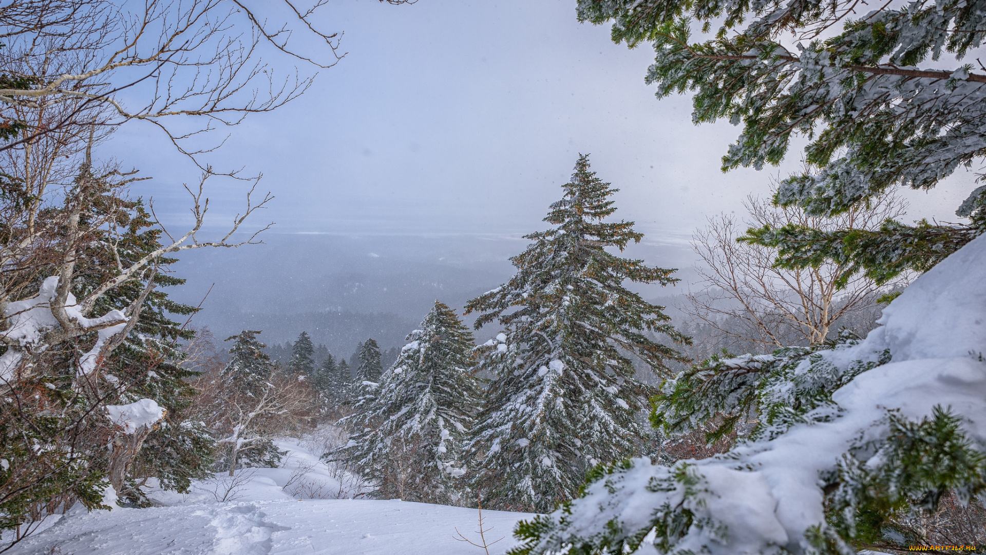 природа, зима, простор