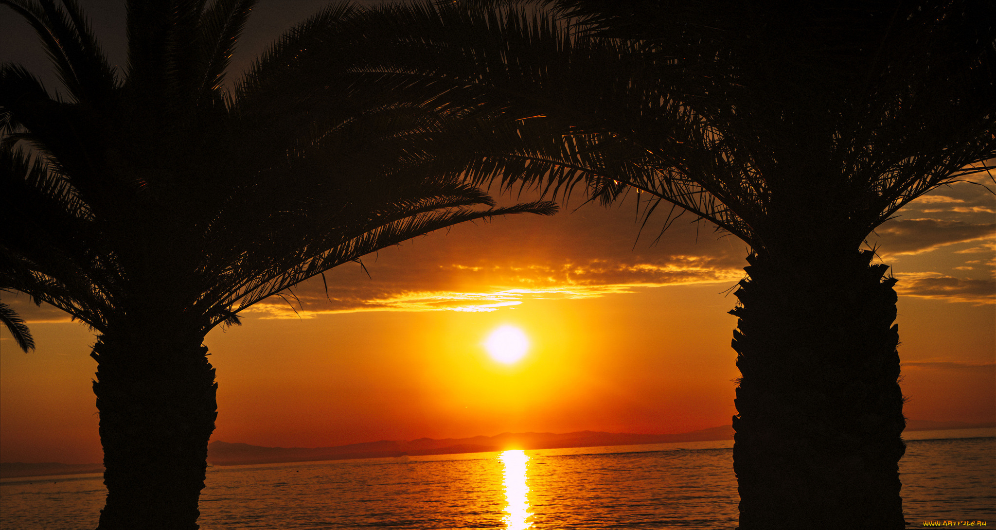 природа, тропики, простор