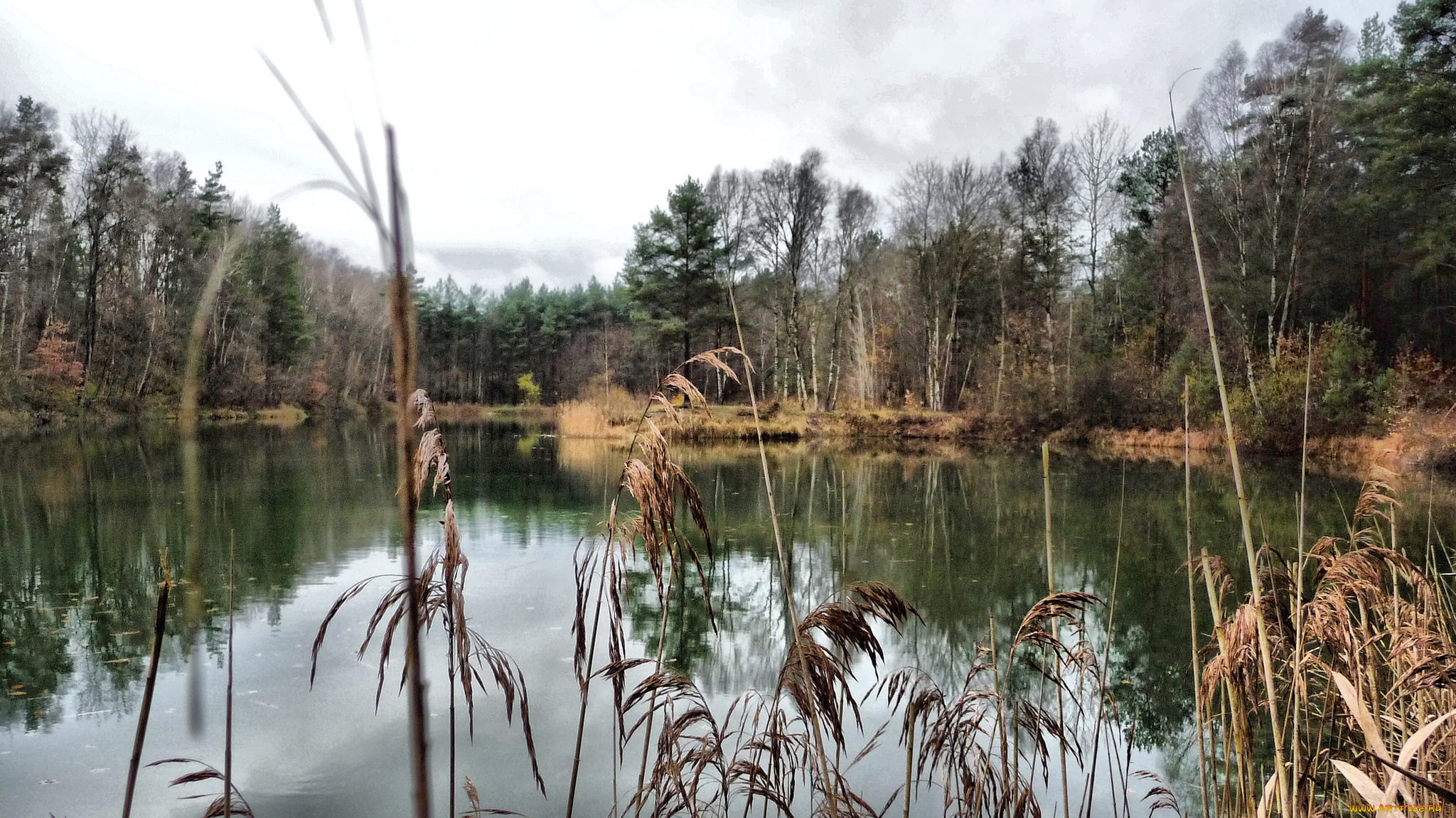 природа, реки, озера, простор