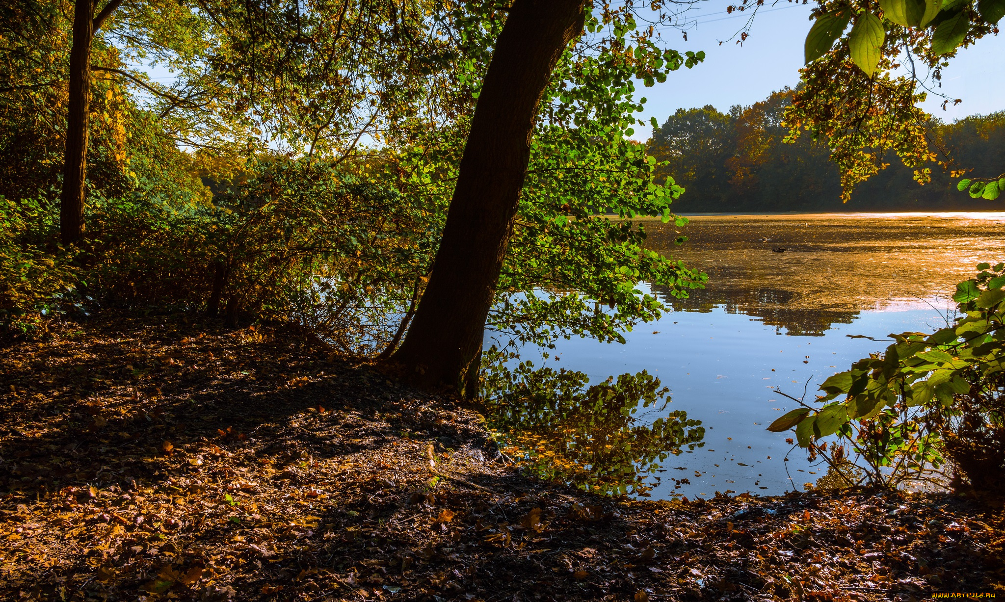 природа, реки, озера, простор
