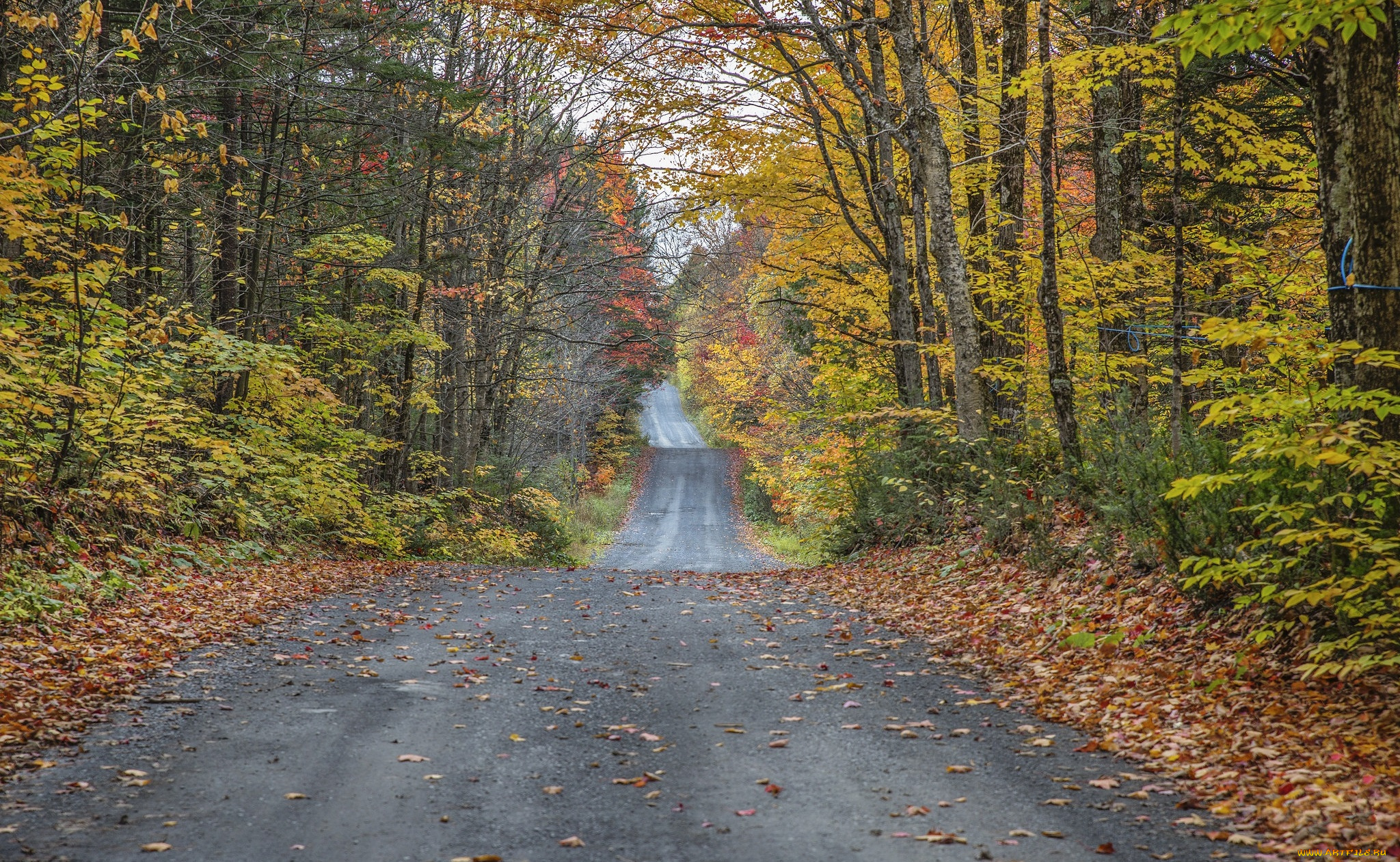 природа, дороги, простор