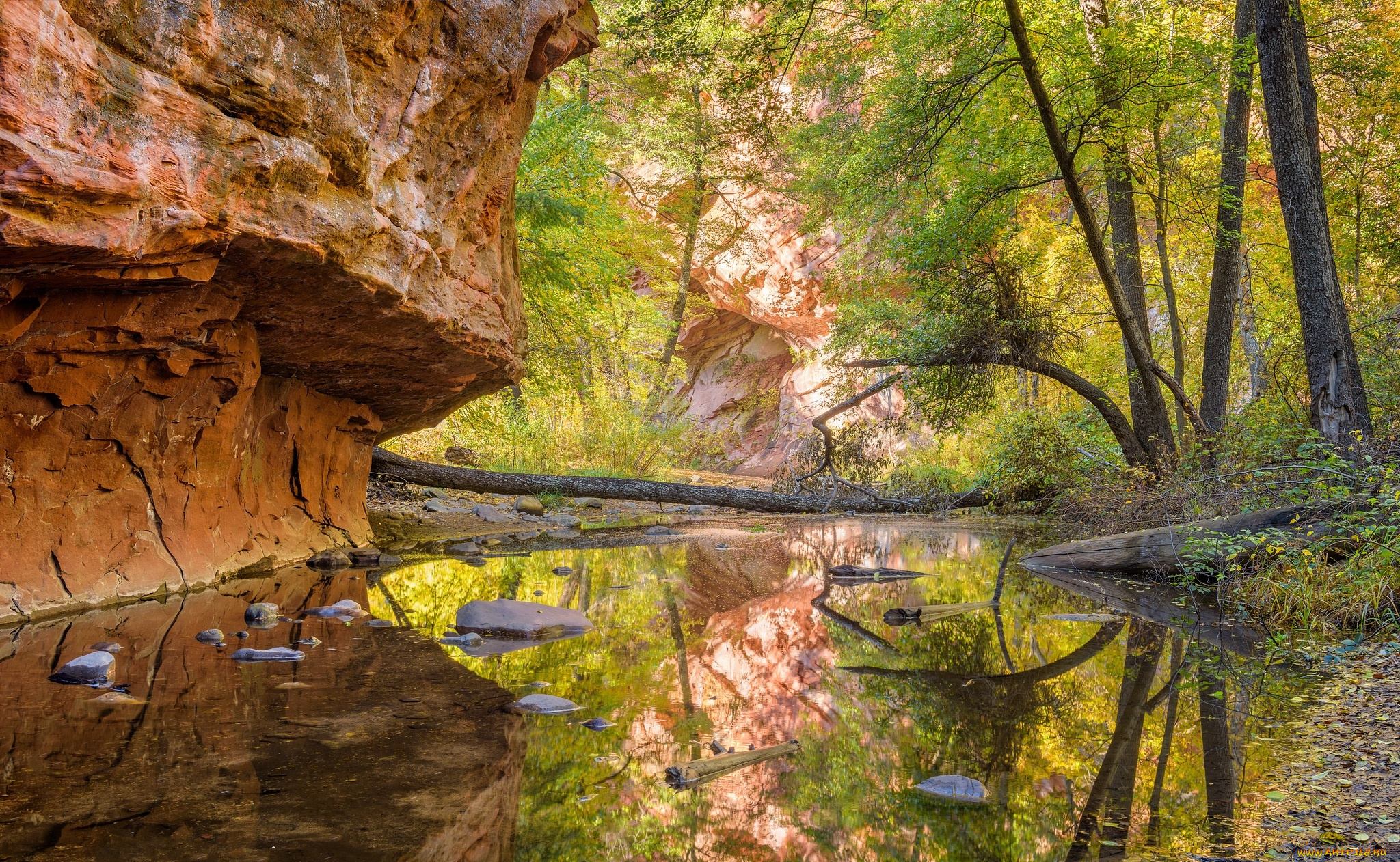 природа, реки, озера, простор