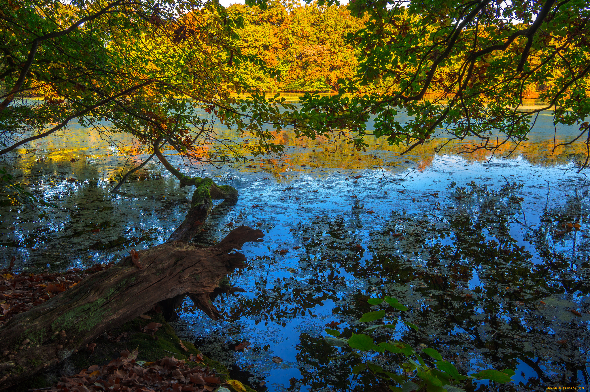 природа, реки, озера, простор