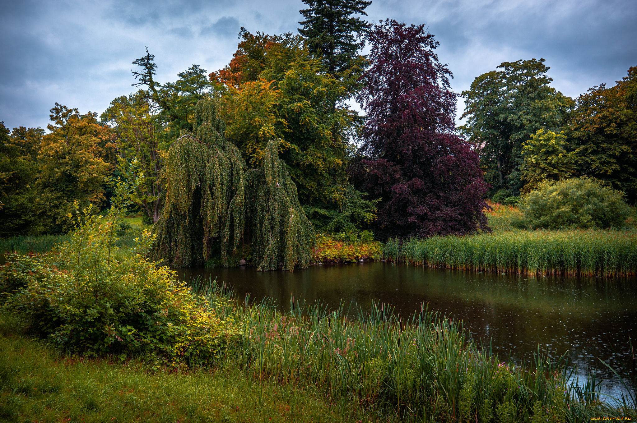 природа, реки, озера, простор