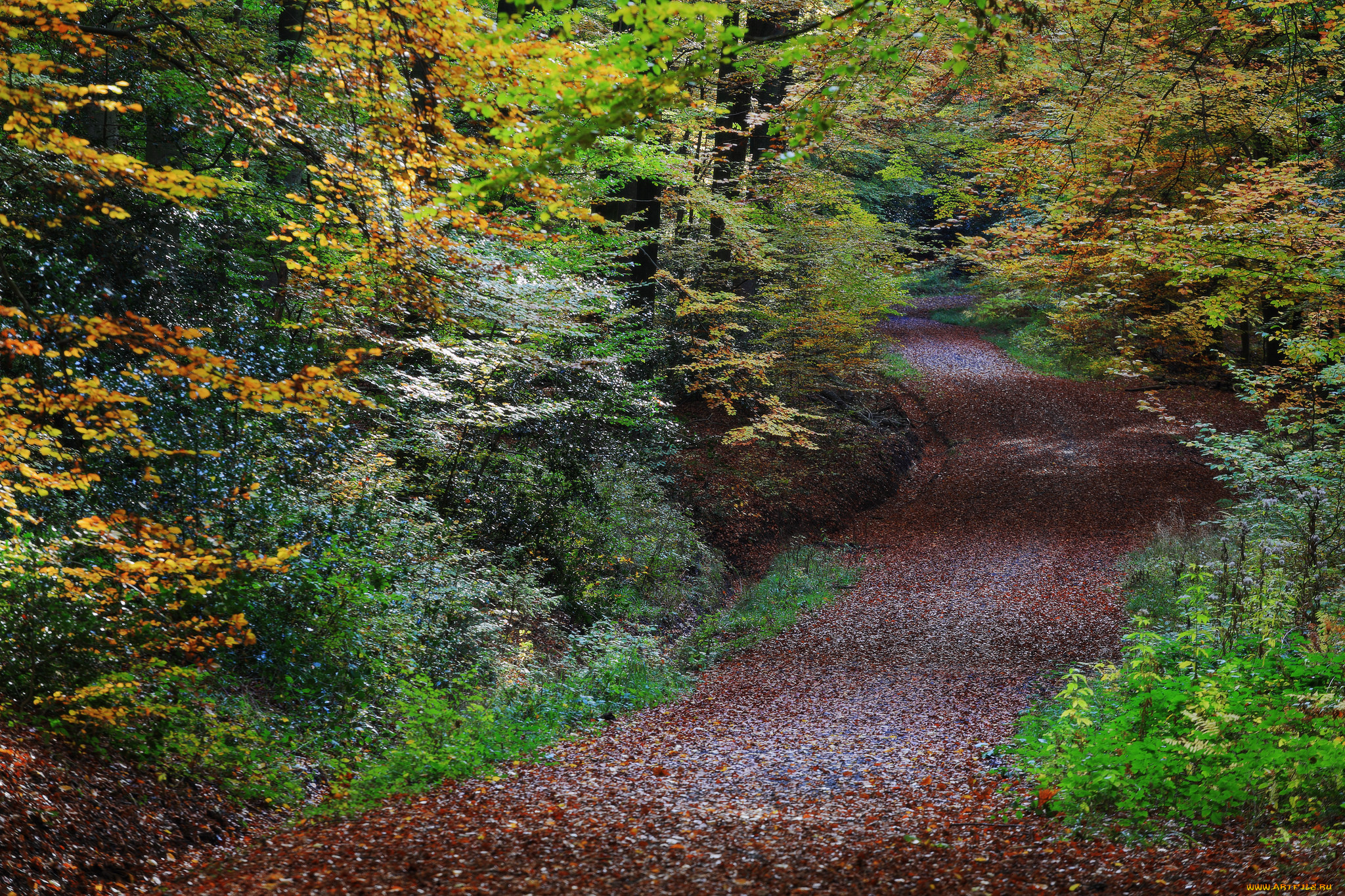 природа, дороги, простор