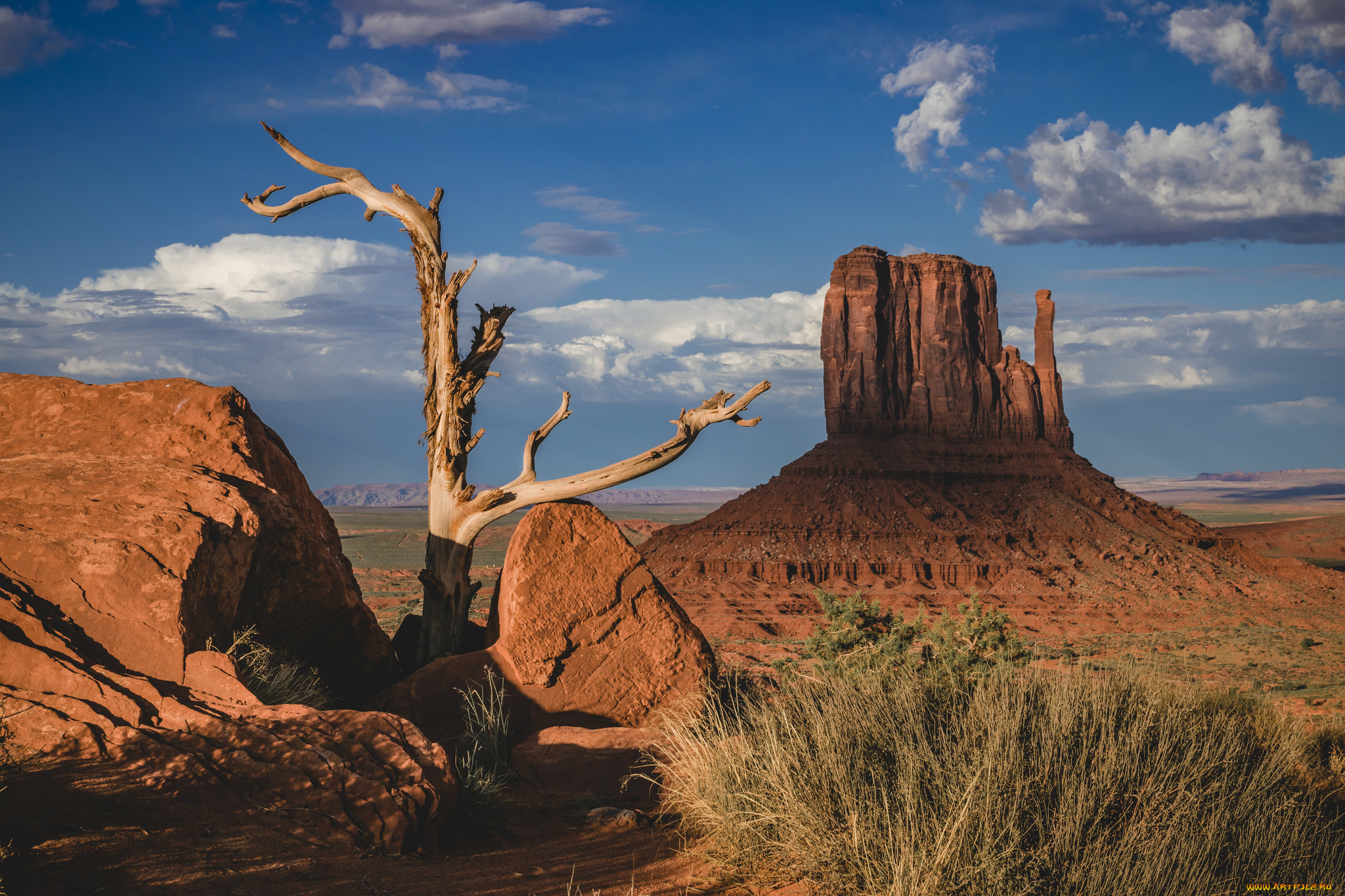 природа, пустыни, простор