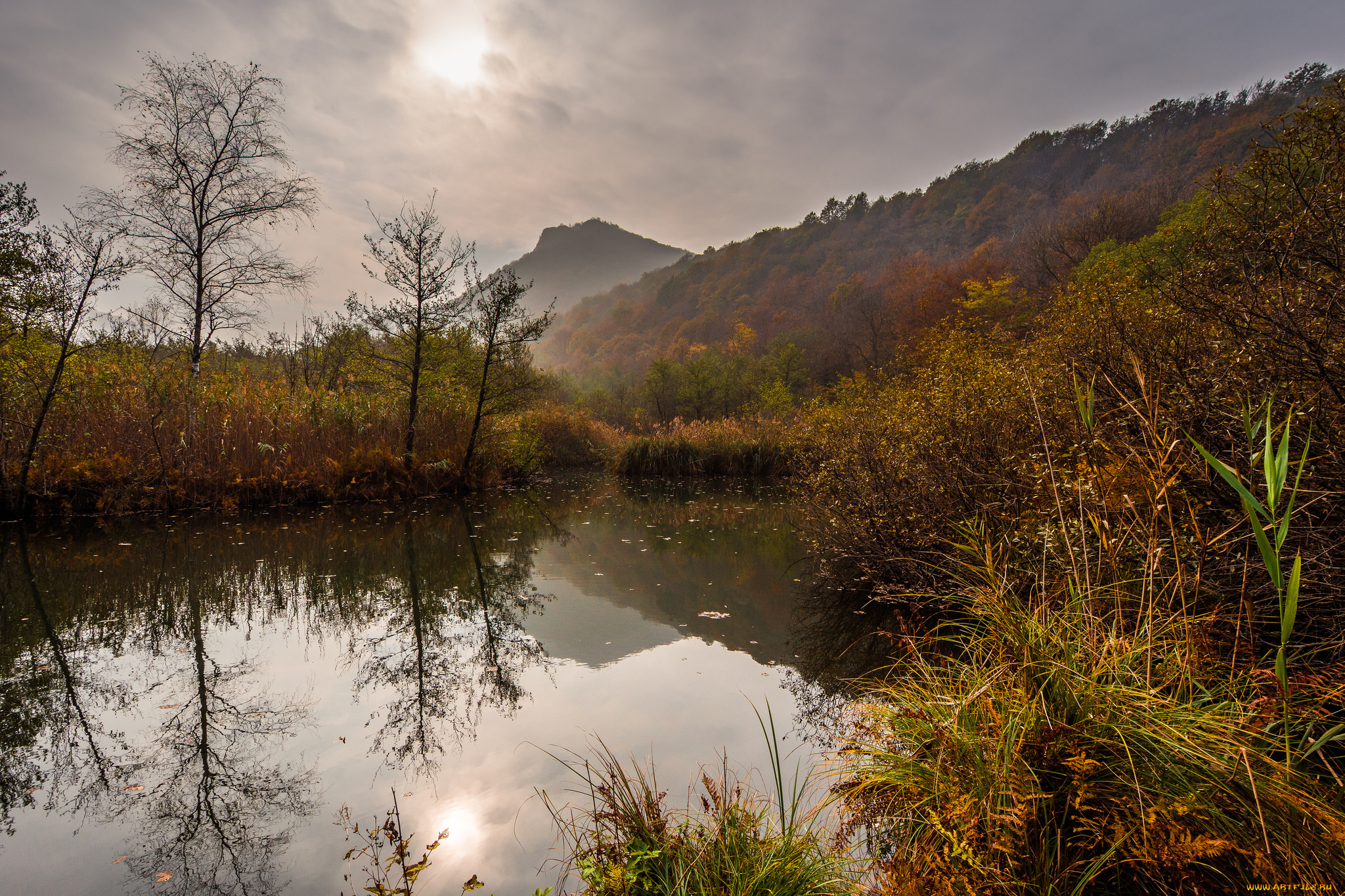 природа, реки, озера, простор