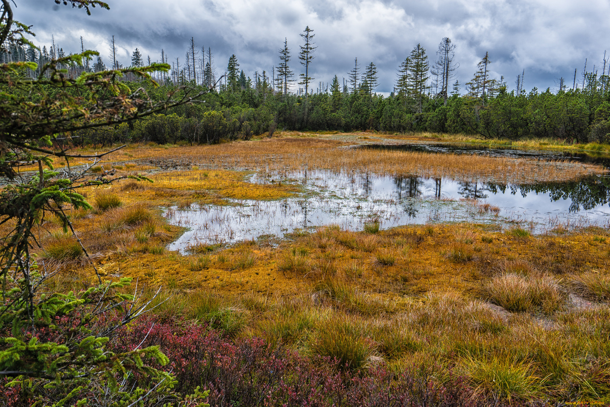 природа, реки, озера, простор