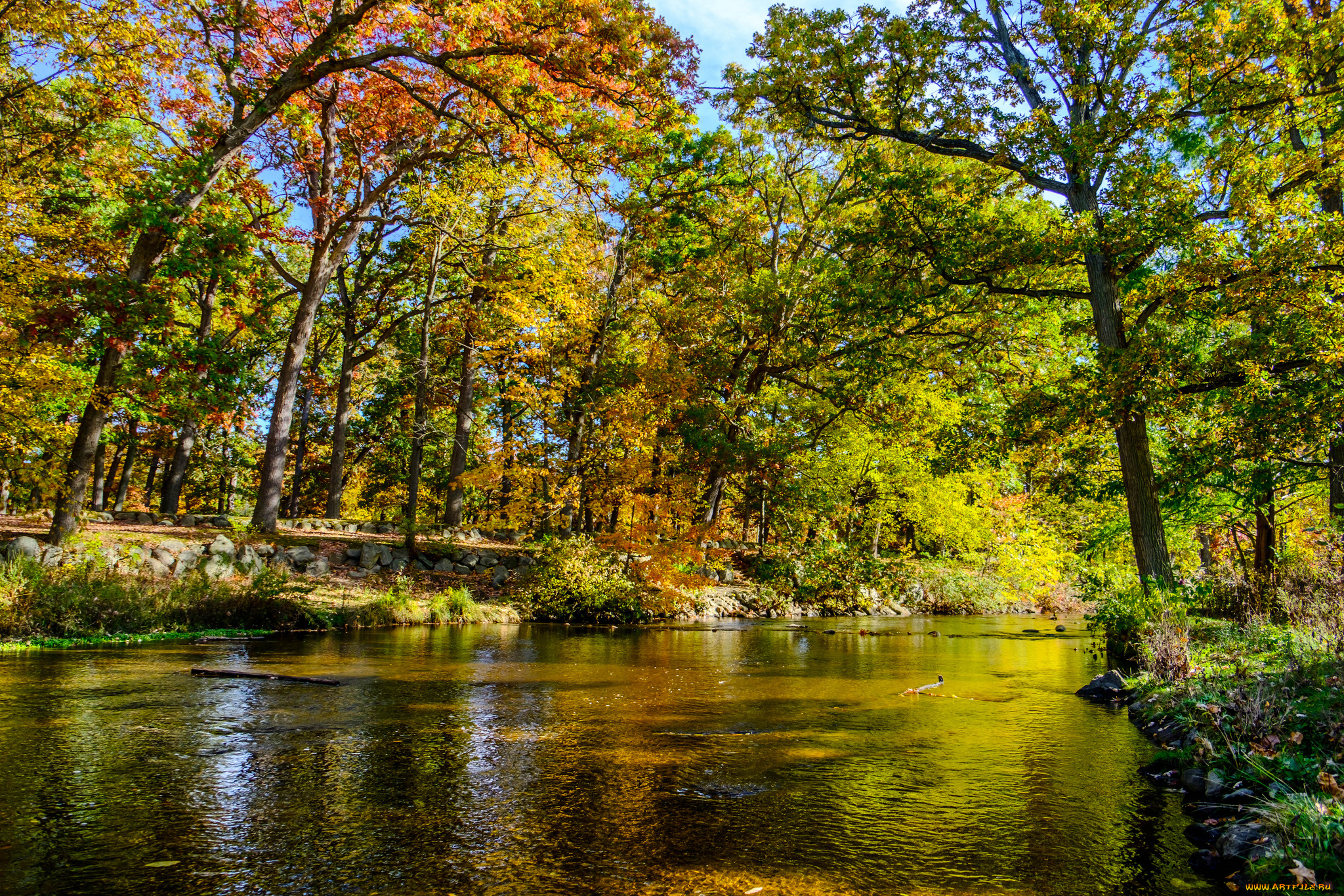 природа, реки, озера, простор