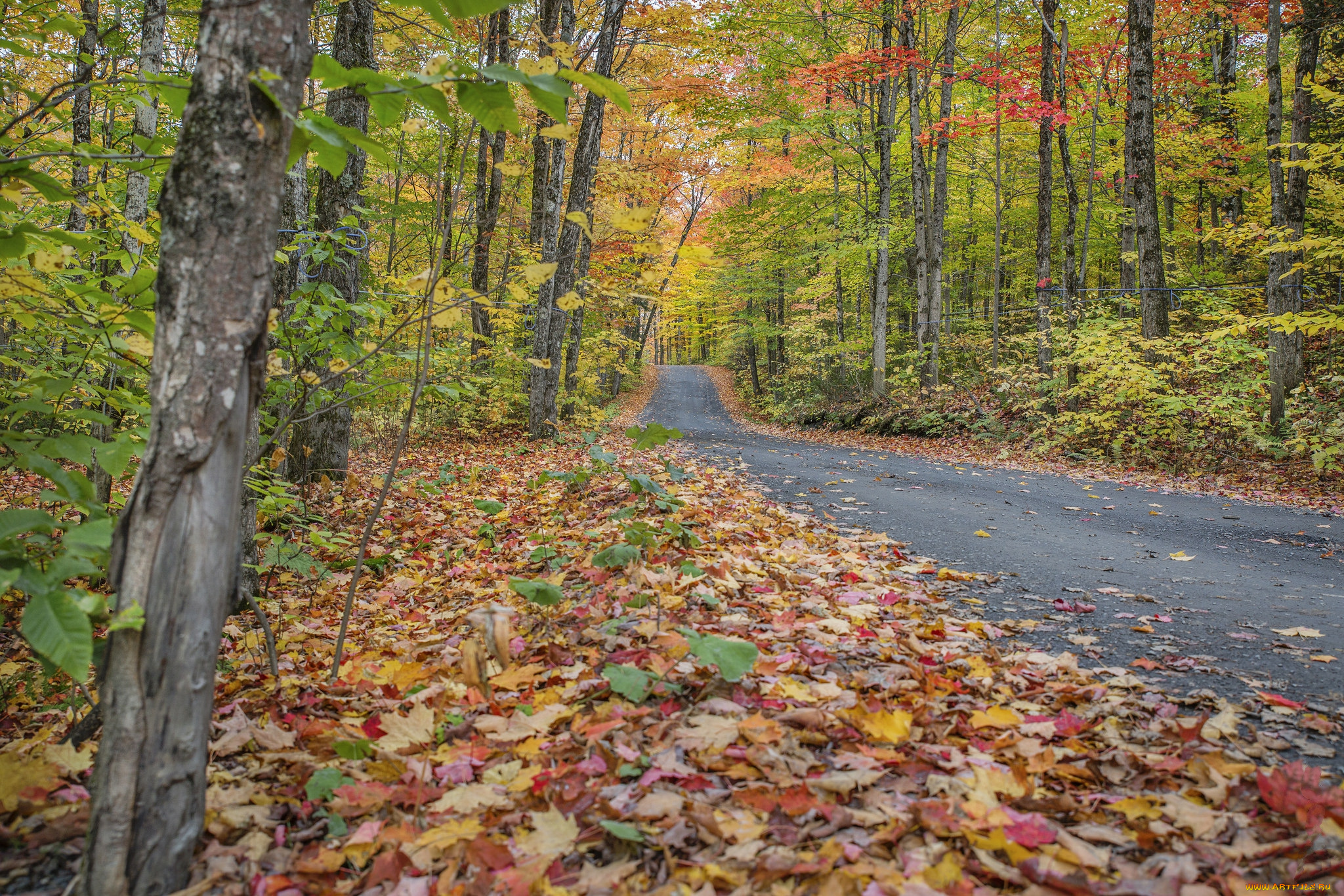 природа, дороги, простор