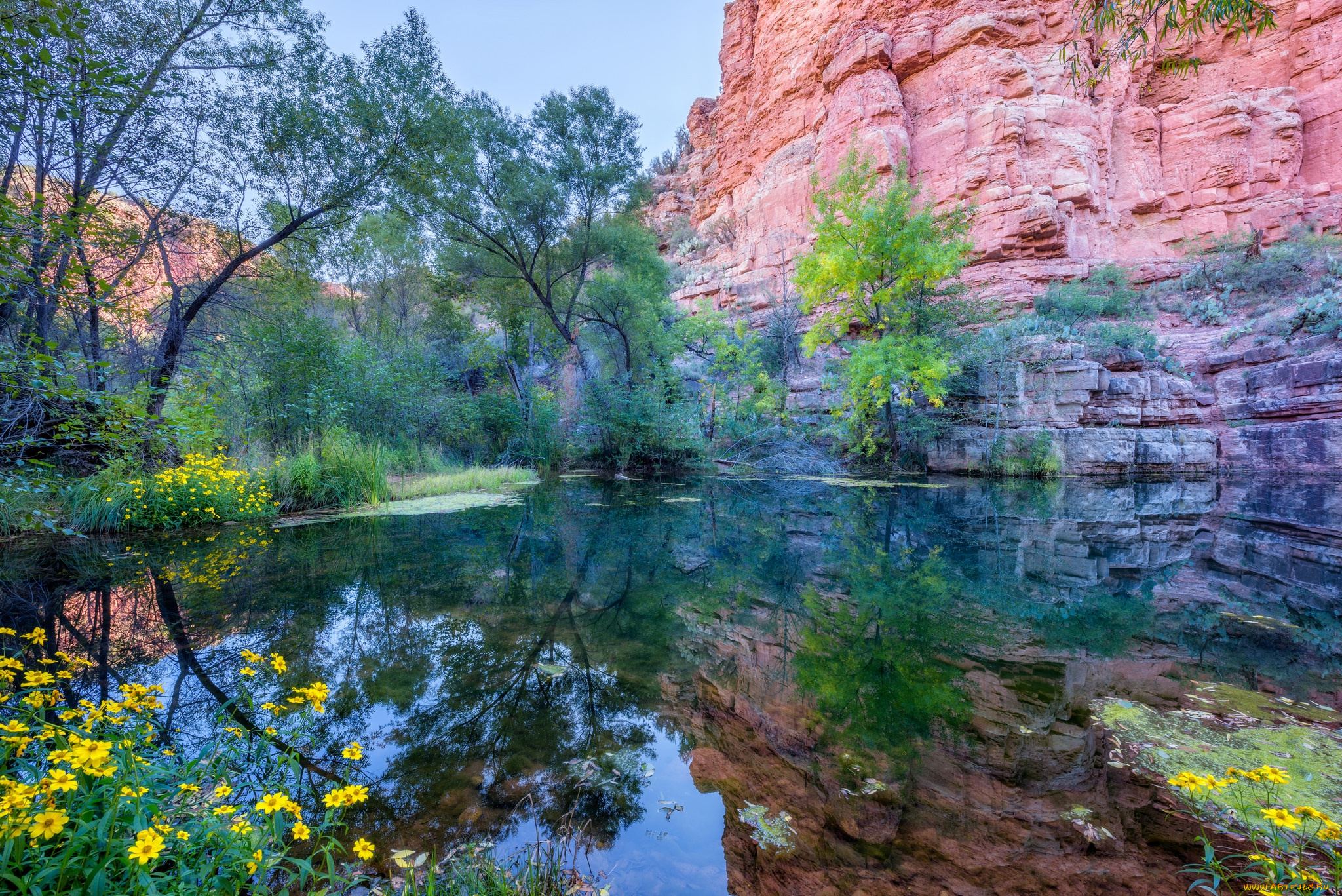 природа, реки, озера, простор