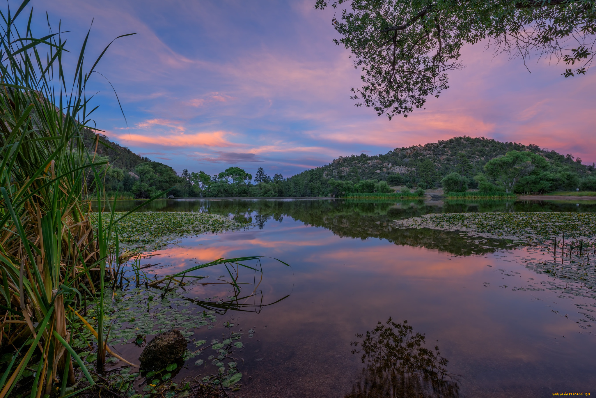 природа, реки, озера, простор