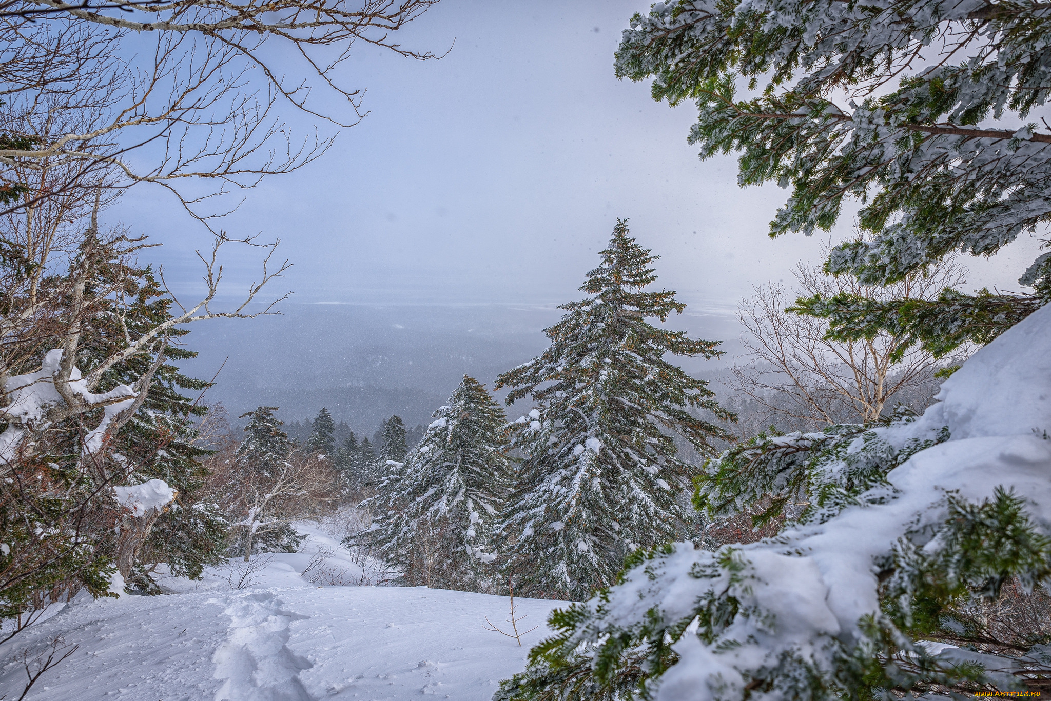 природа, зима, простор