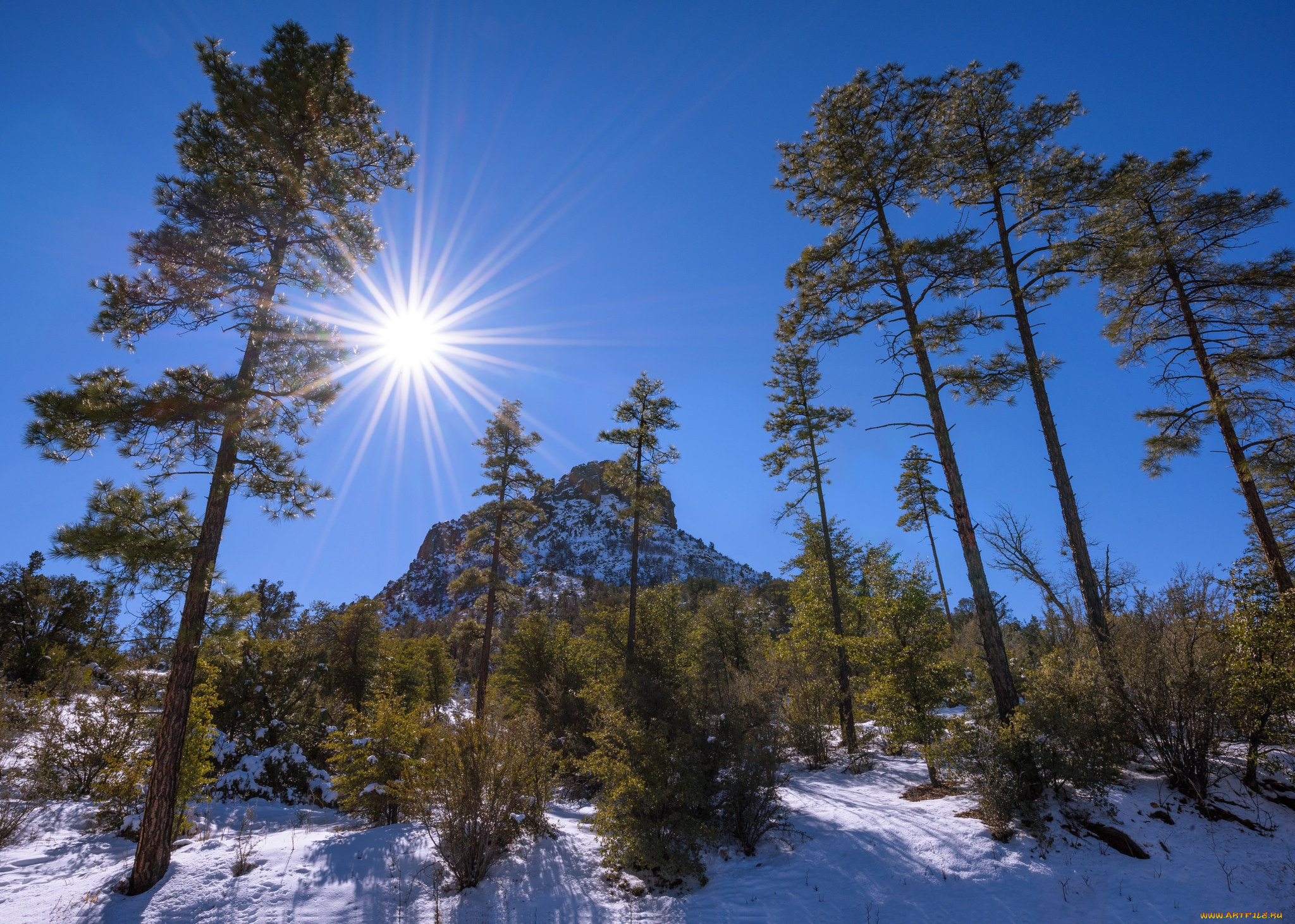 природа, зима, простор