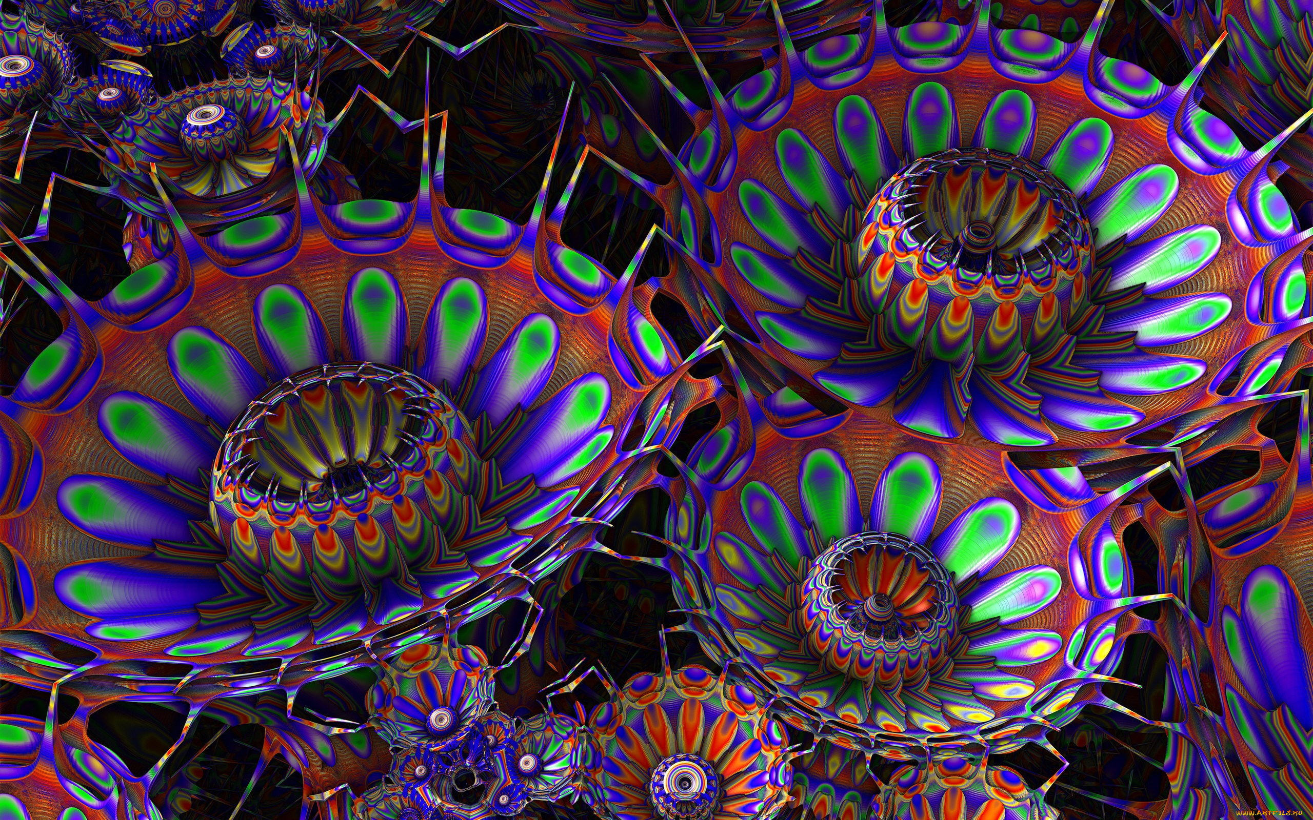 3д, графика, цветы, , flowers, цветы