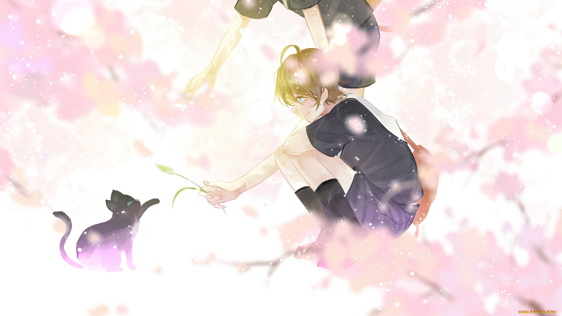 аниме, животные, , существа, мальчик, кот