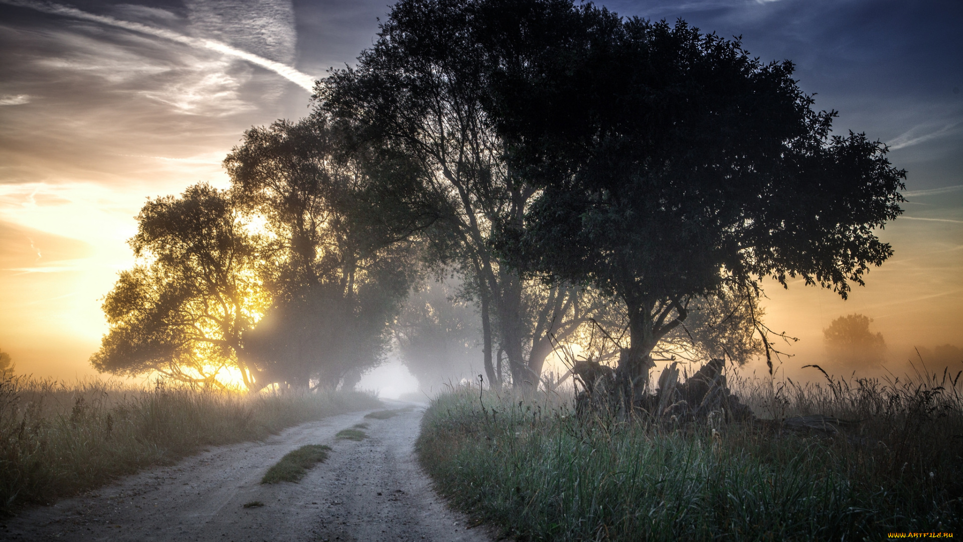 природа, дороги, простор