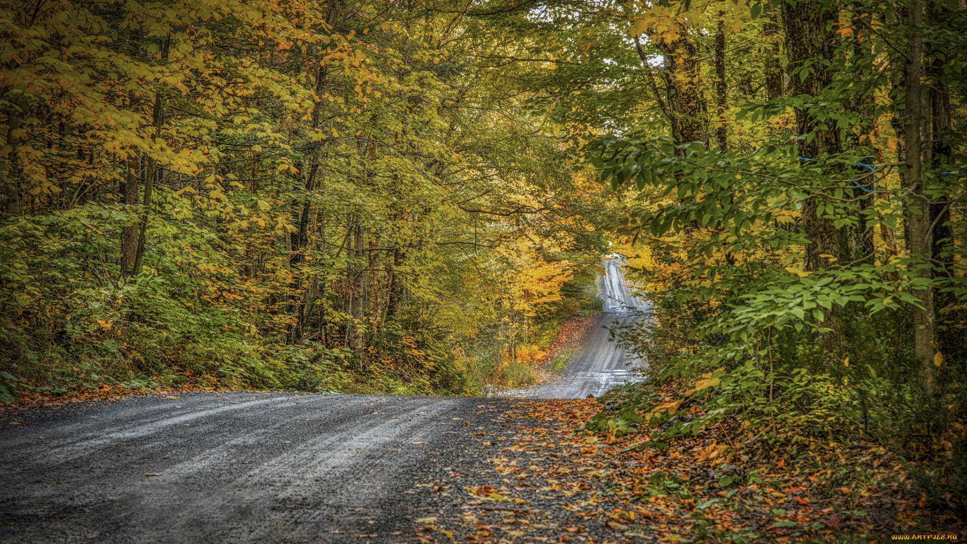 природа, дороги, простор