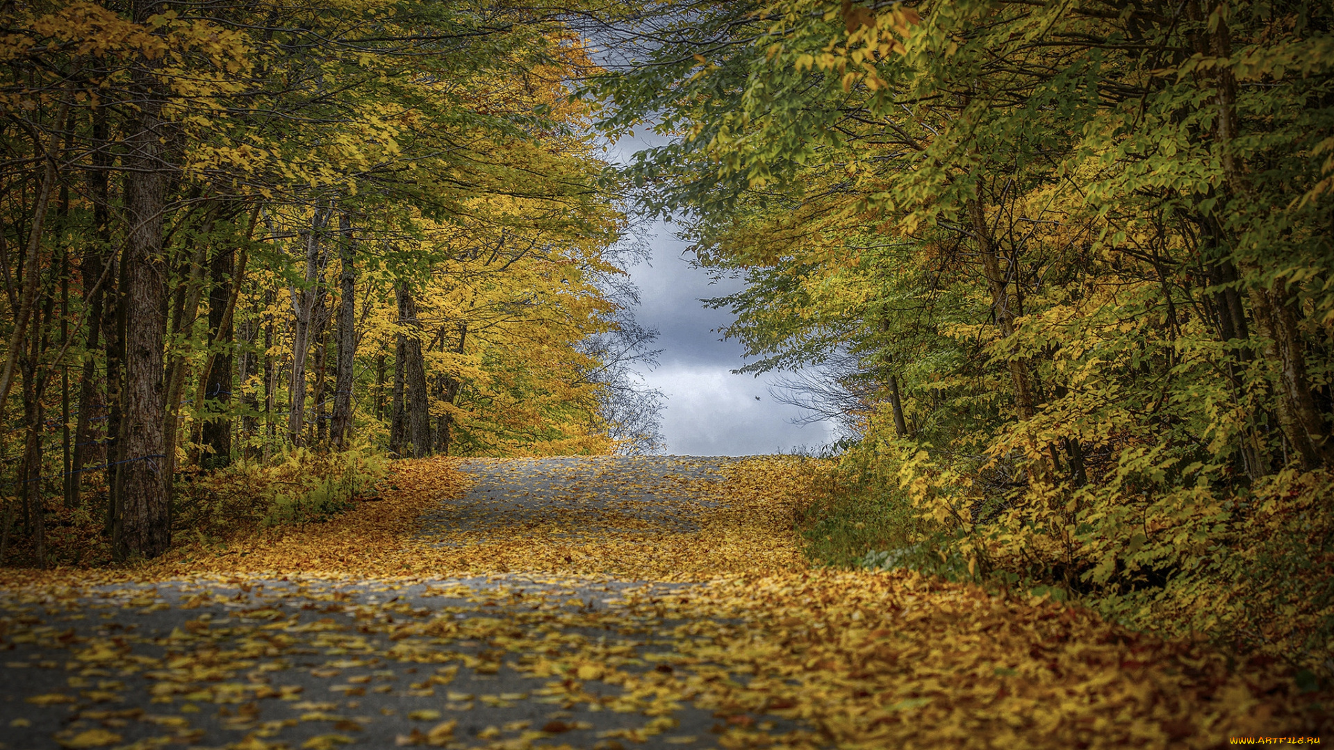 природа, дороги, простор