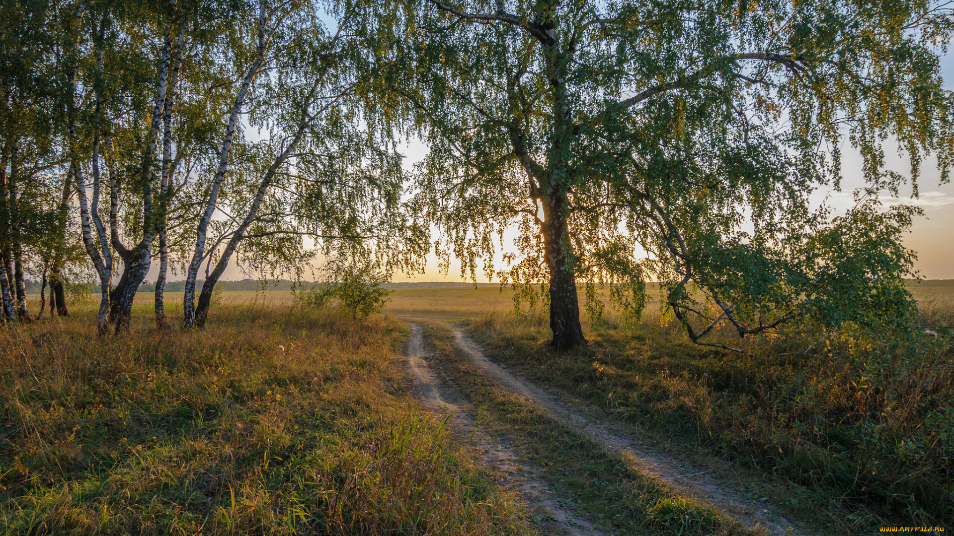 природа, дороги, простор