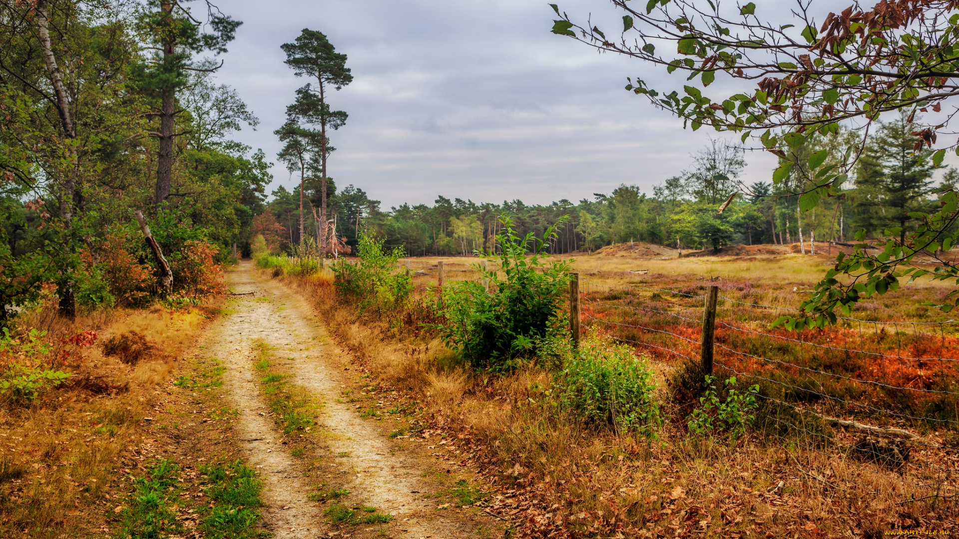 природа, дороги, простор