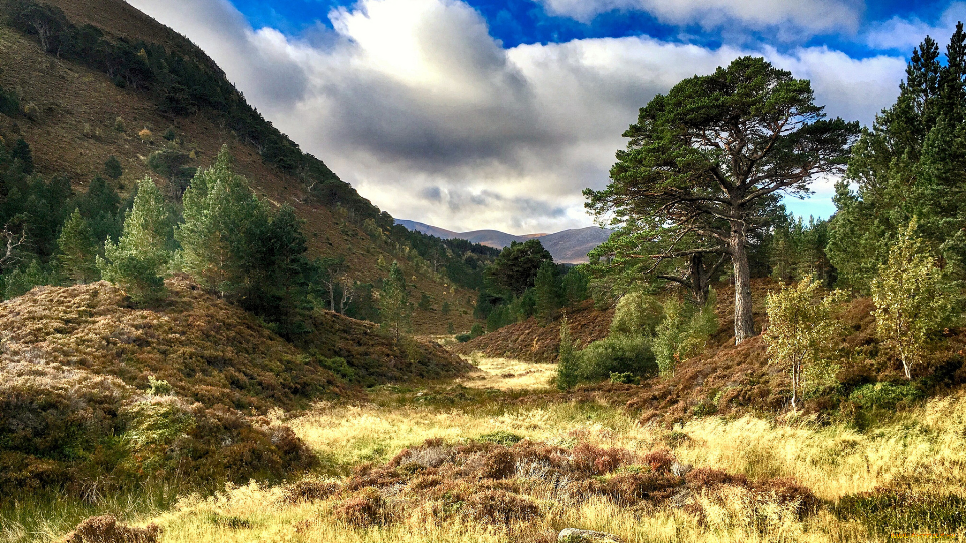 природа, горы, простор