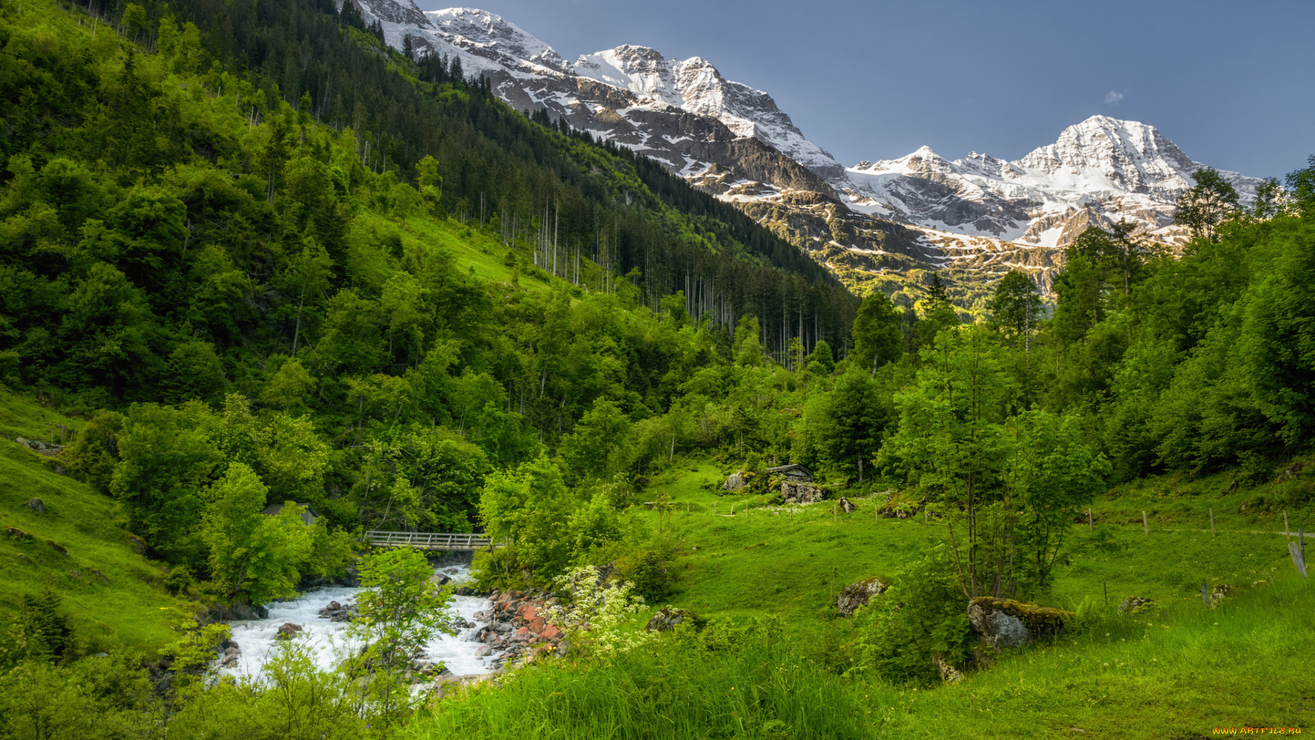 природа, горы, простор